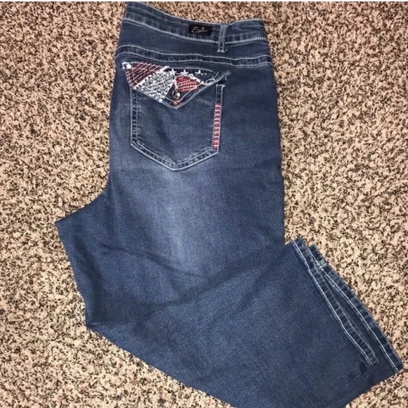 Earl Jeans Denim - Earl Denim Embroidered Cropped Stretch Plus Size 20W Blue Jeans | EUC
